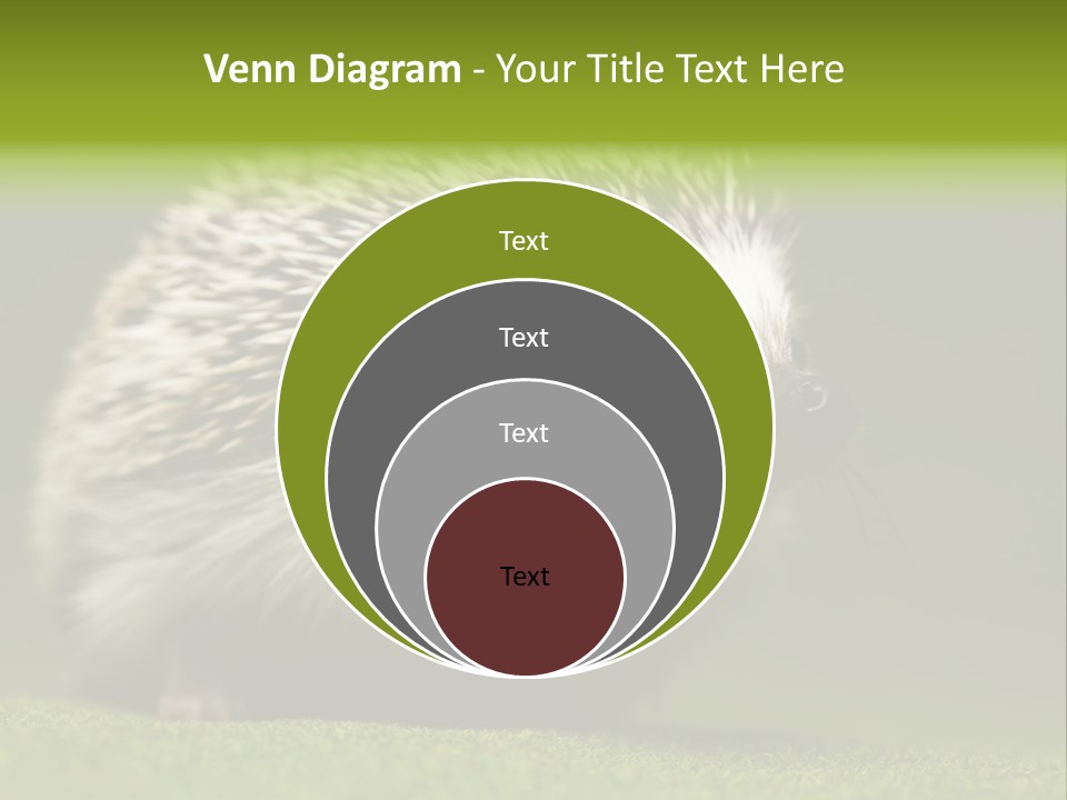 Spine Defense Young PowerPoint Template