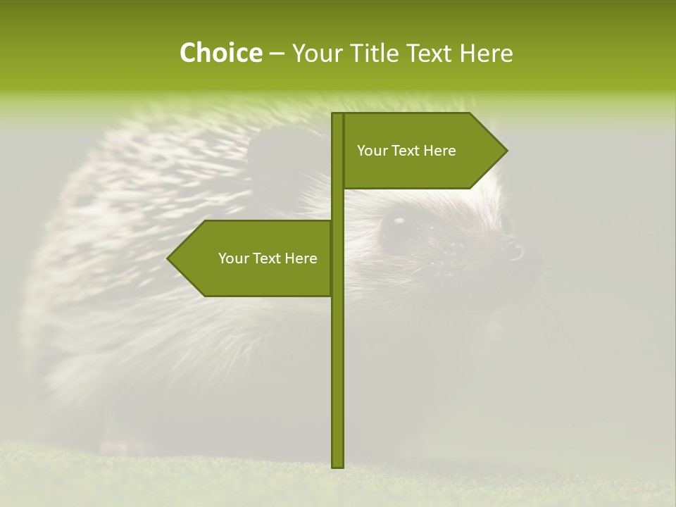 Spine Defense Young PowerPoint Template