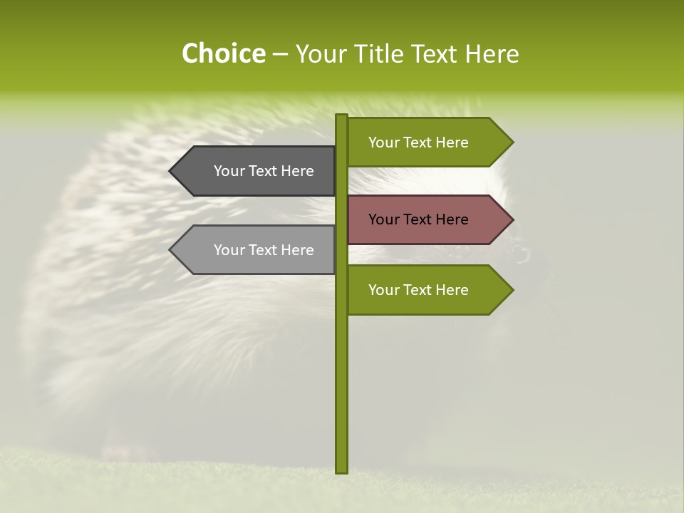 Spine Defense Young PowerPoint Template