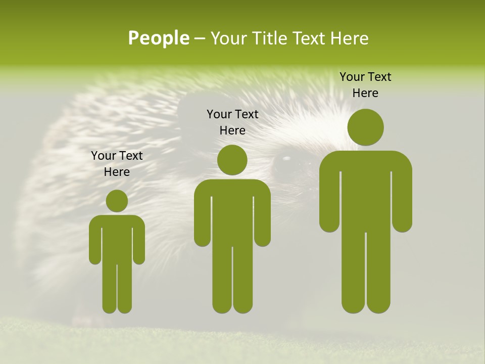 Spine Defense Young PowerPoint Template