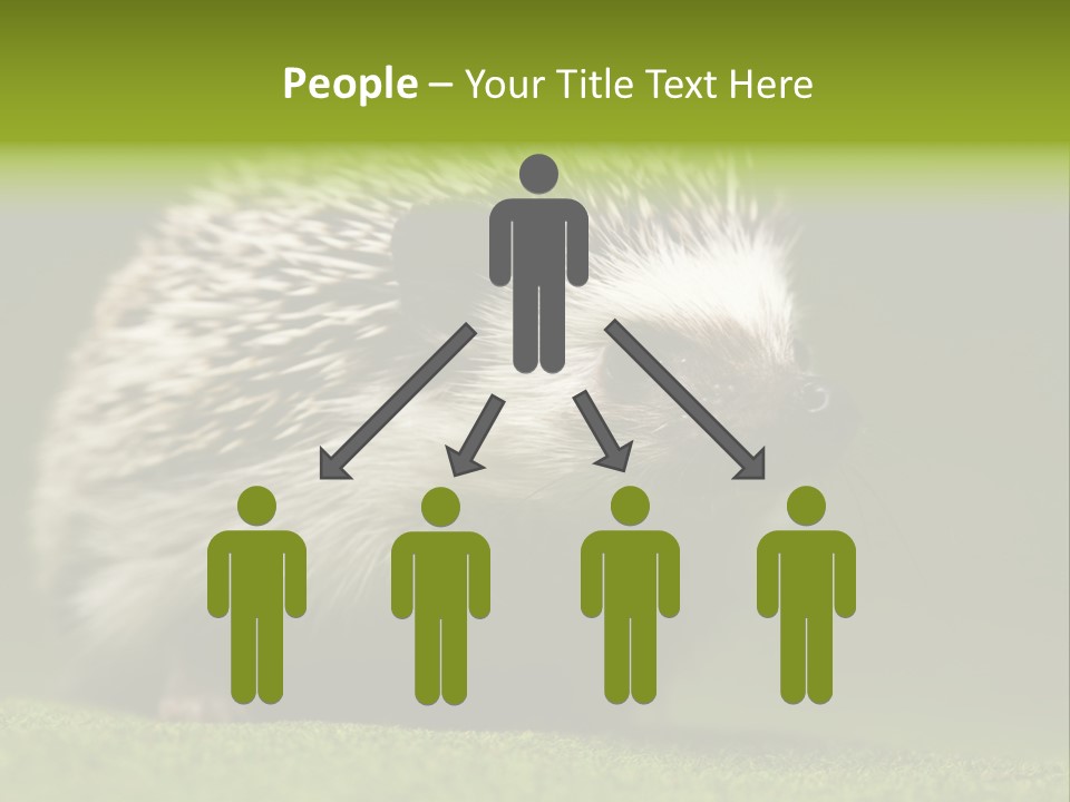 Spine Defense Young PowerPoint Template