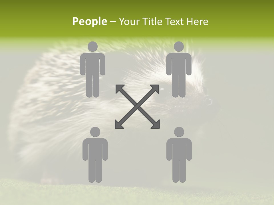 Spine Defense Young PowerPoint Template