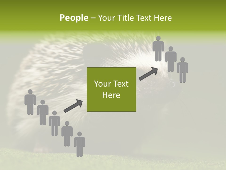 Spine Defense Young PowerPoint Template