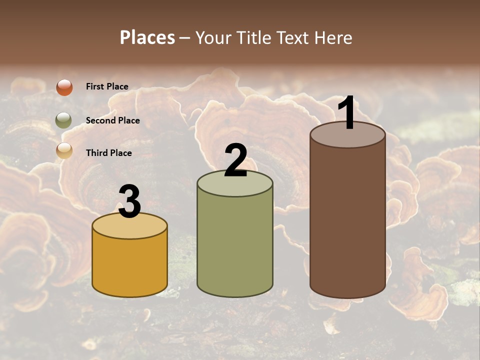 Wet Medicinal Mushroom Chinese Medicine PowerPoint Template