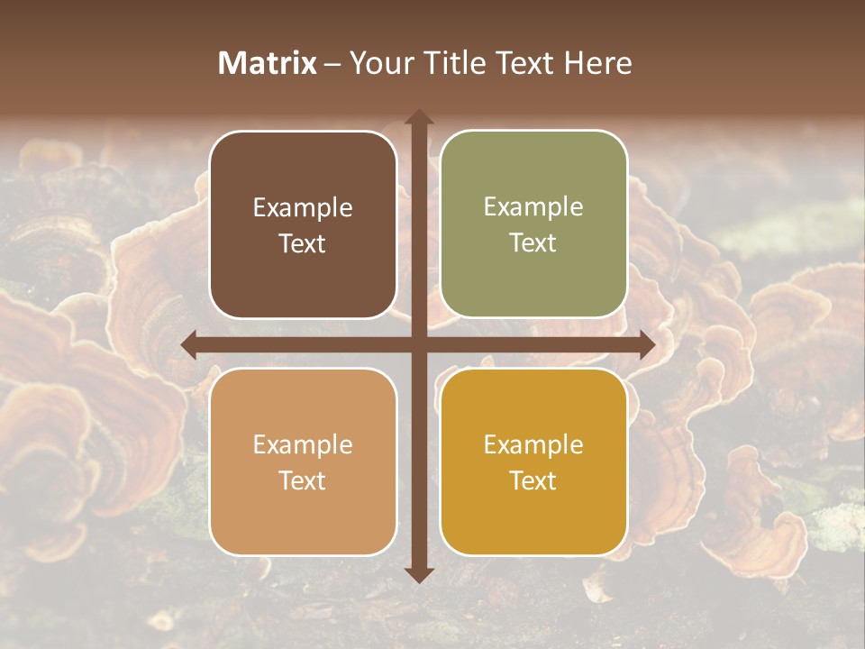 Wet Medicinal Mushroom Chinese Medicine PowerPoint Template