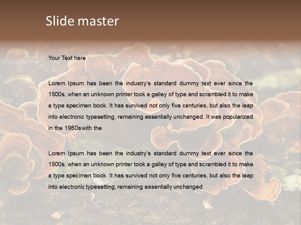 Wet Medicinal Mushroom Chinese Medicine PowerPoint Template