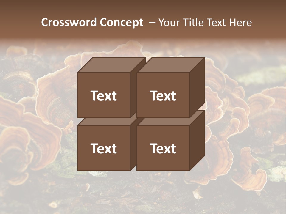 Wet Medicinal Mushroom Chinese Medicine PowerPoint Template