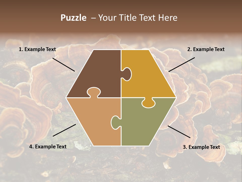 Wet Medicinal Mushroom Chinese Medicine PowerPoint Template