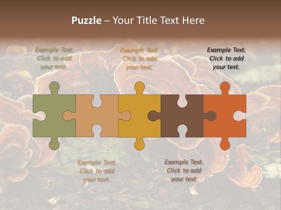 Wet Medicinal Mushroom Chinese Medicine PowerPoint Template