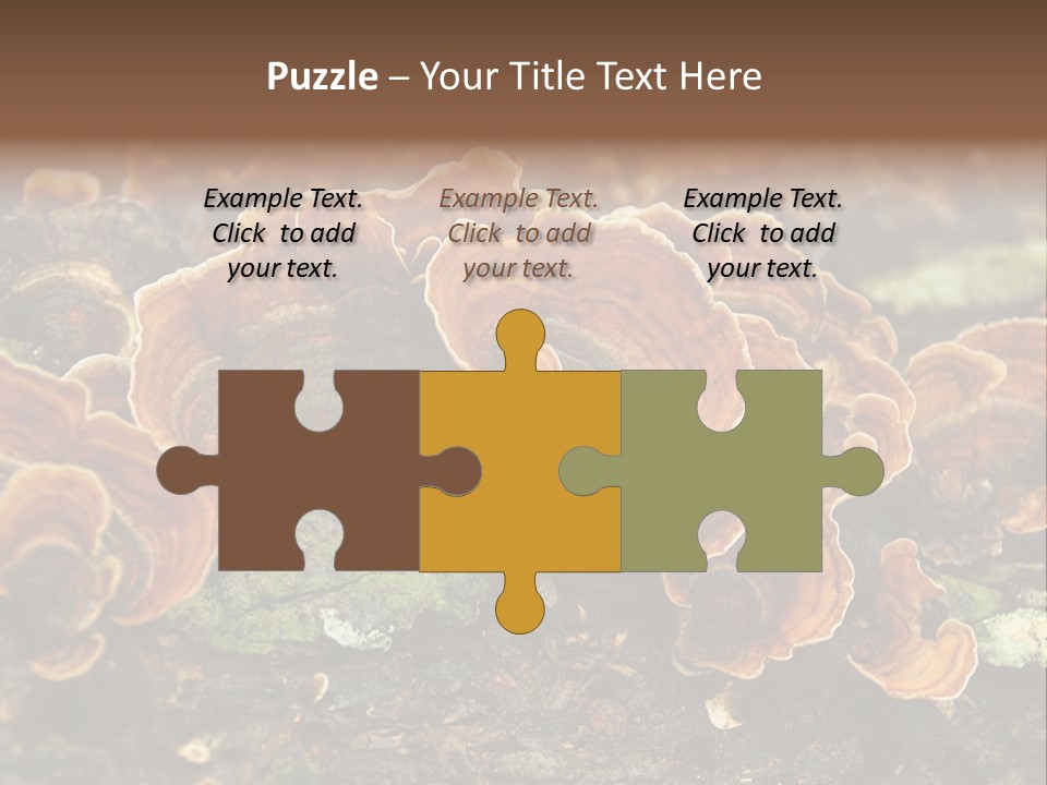 Wet Medicinal Mushroom Chinese Medicine PowerPoint Template