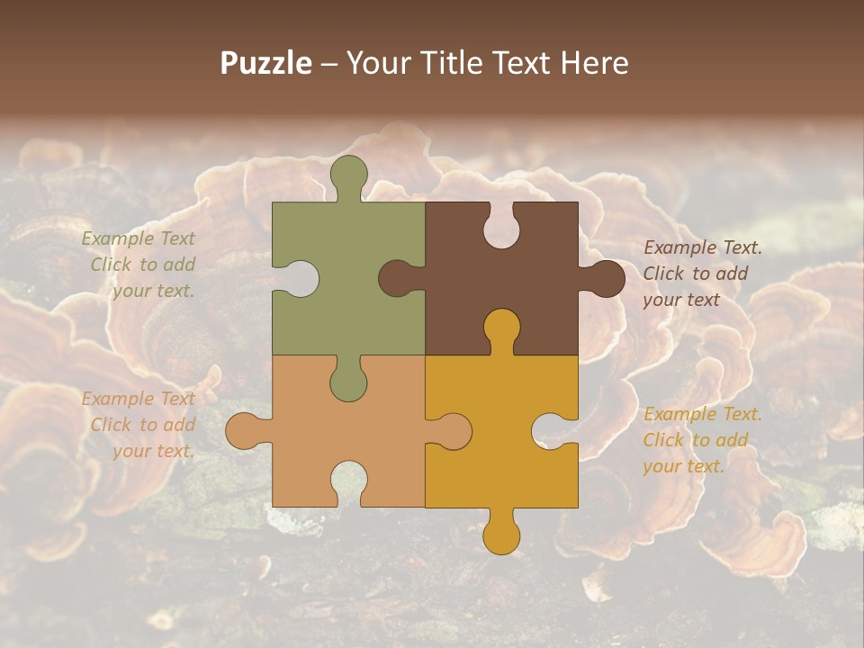 Wet Medicinal Mushroom Chinese Medicine PowerPoint Template