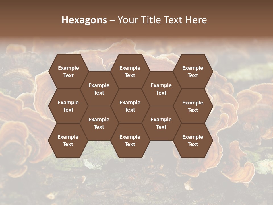 Wet Medicinal Mushroom Chinese Medicine PowerPoint Template