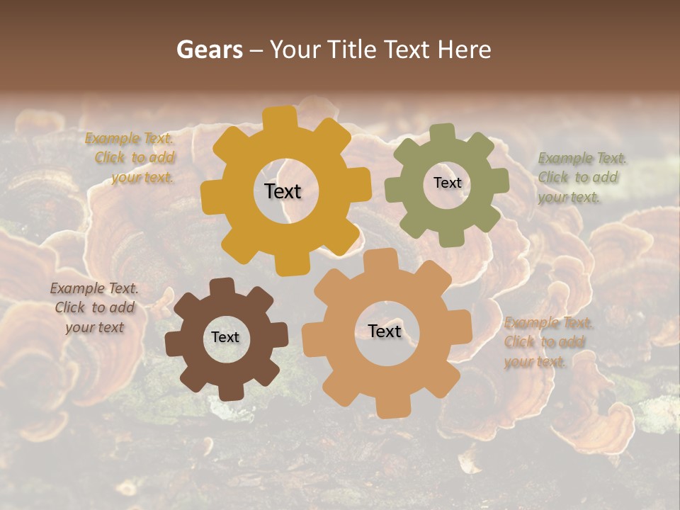 Wet Medicinal Mushroom Chinese Medicine PowerPoint Template