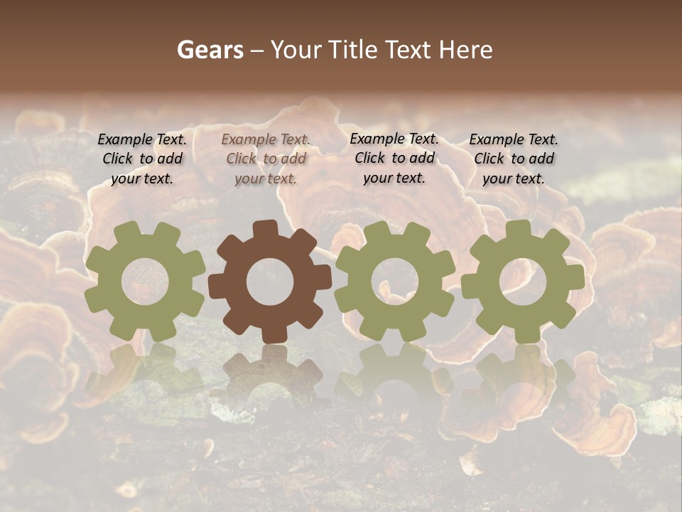 Wet Medicinal Mushroom Chinese Medicine PowerPoint Template