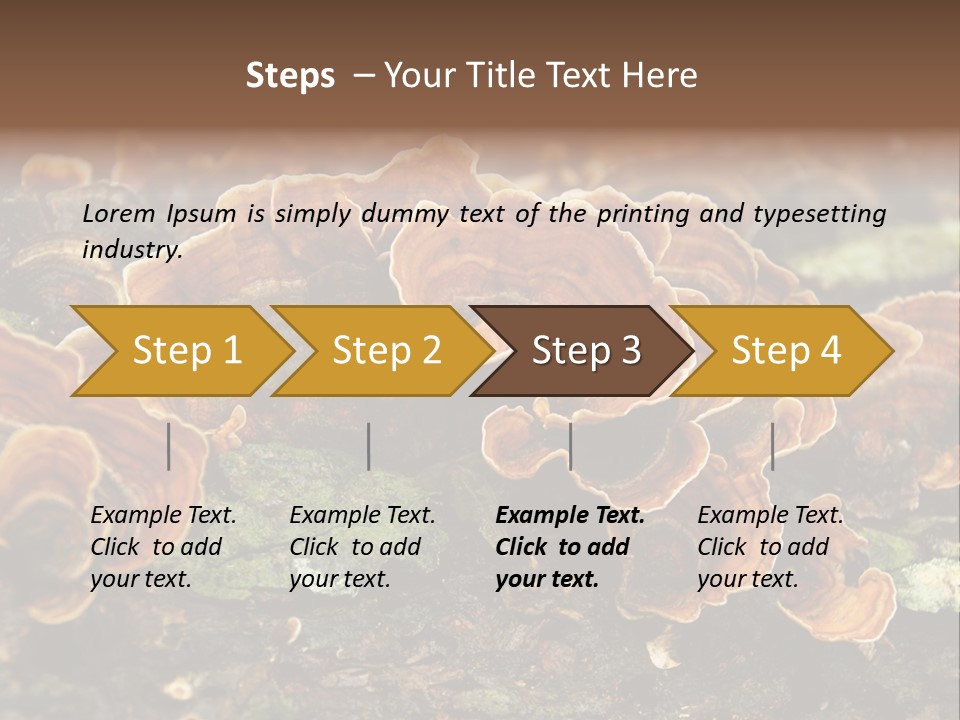 Wet Medicinal Mushroom Chinese Medicine PowerPoint Template