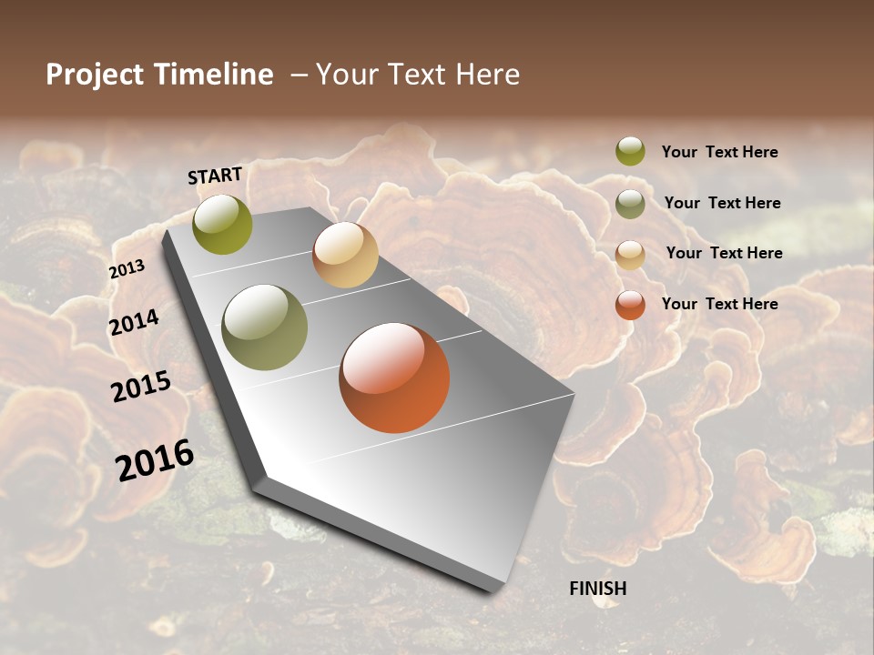 Wet Medicinal Mushroom Chinese Medicine PowerPoint Template