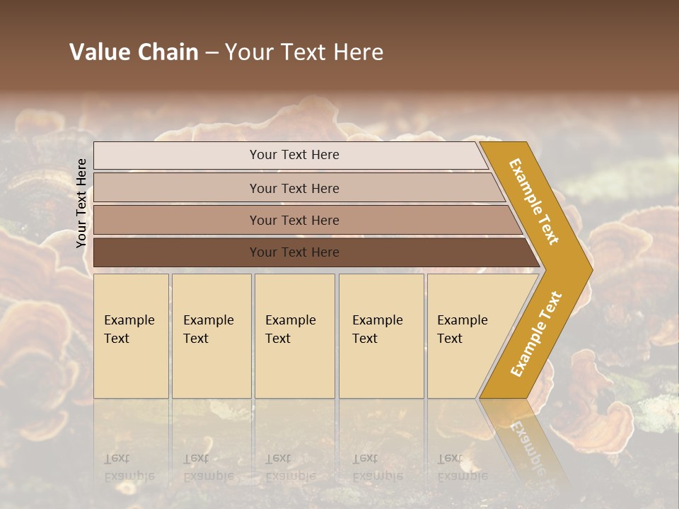 Wet Medicinal Mushroom Chinese Medicine PowerPoint Template