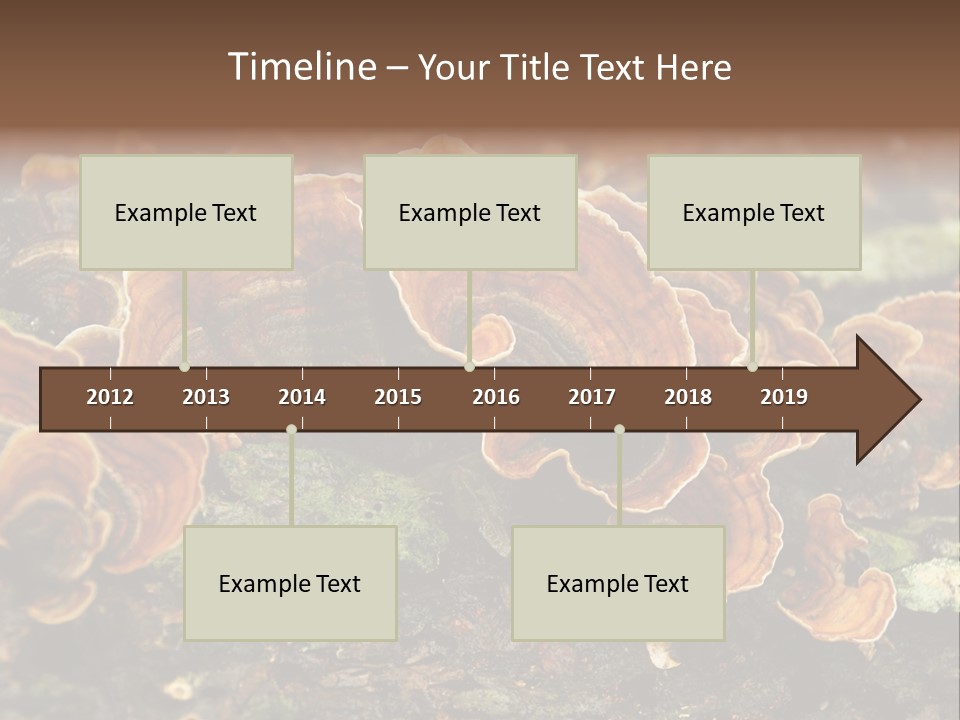 Wet Medicinal Mushroom Chinese Medicine PowerPoint Template