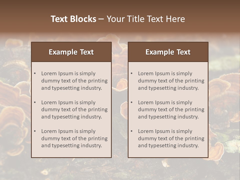 Wet Medicinal Mushroom Chinese Medicine PowerPoint Template