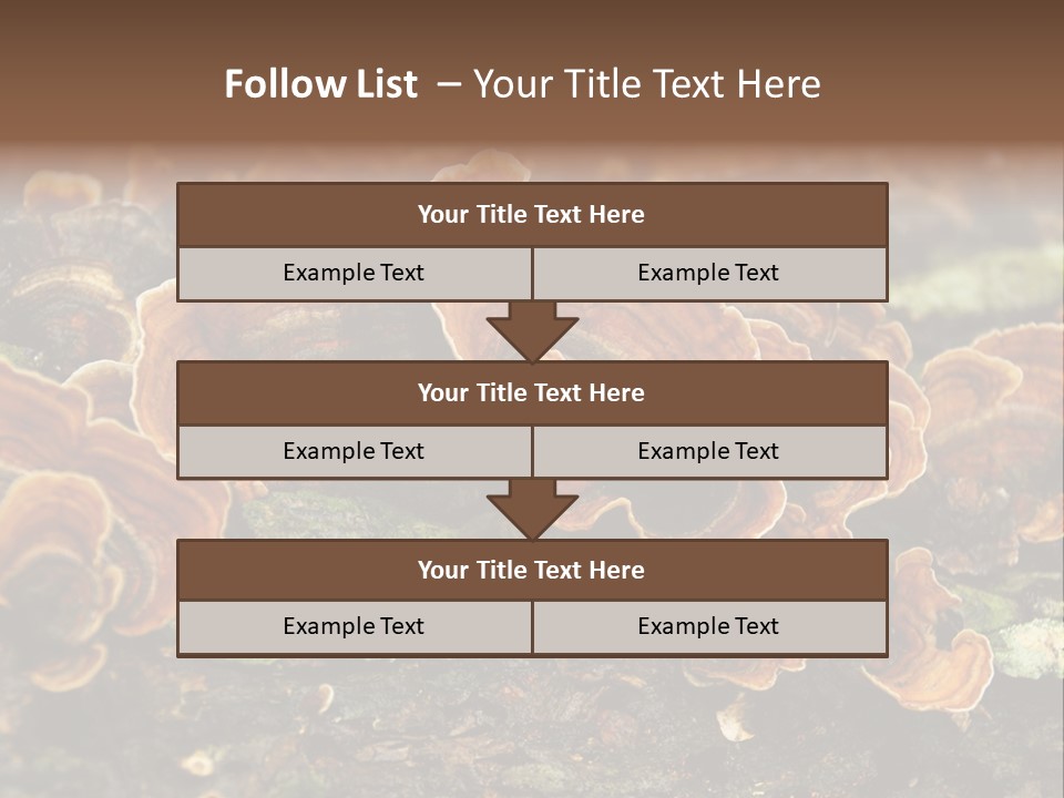 Wet Medicinal Mushroom Chinese Medicine PowerPoint Template