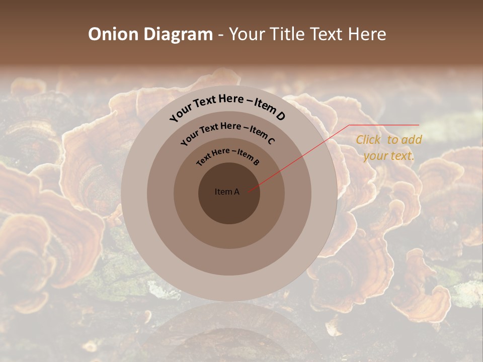 Wet Medicinal Mushroom Chinese Medicine PowerPoint Template