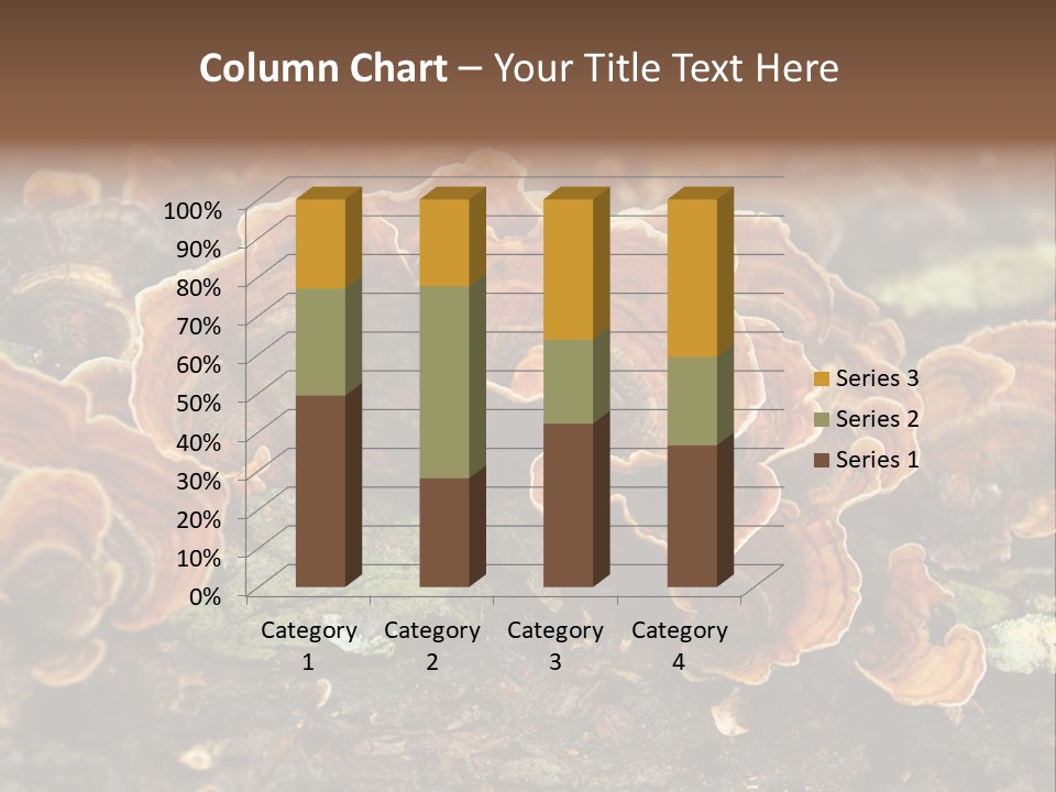 Wet Medicinal Mushroom Chinese Medicine PowerPoint Template