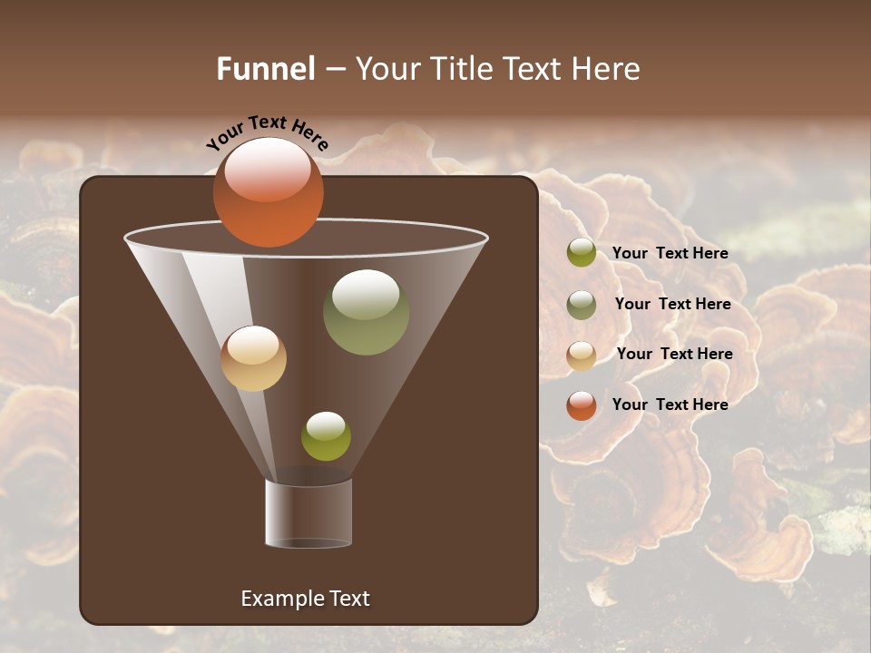 Wet Medicinal Mushroom Chinese Medicine PowerPoint Template