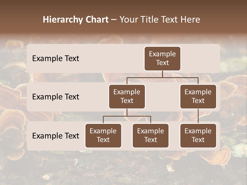 Wet Medicinal Mushroom Chinese Medicine PowerPoint Template