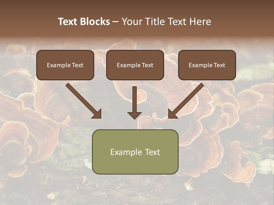 Wet Medicinal Mushroom Chinese Medicine PowerPoint Template