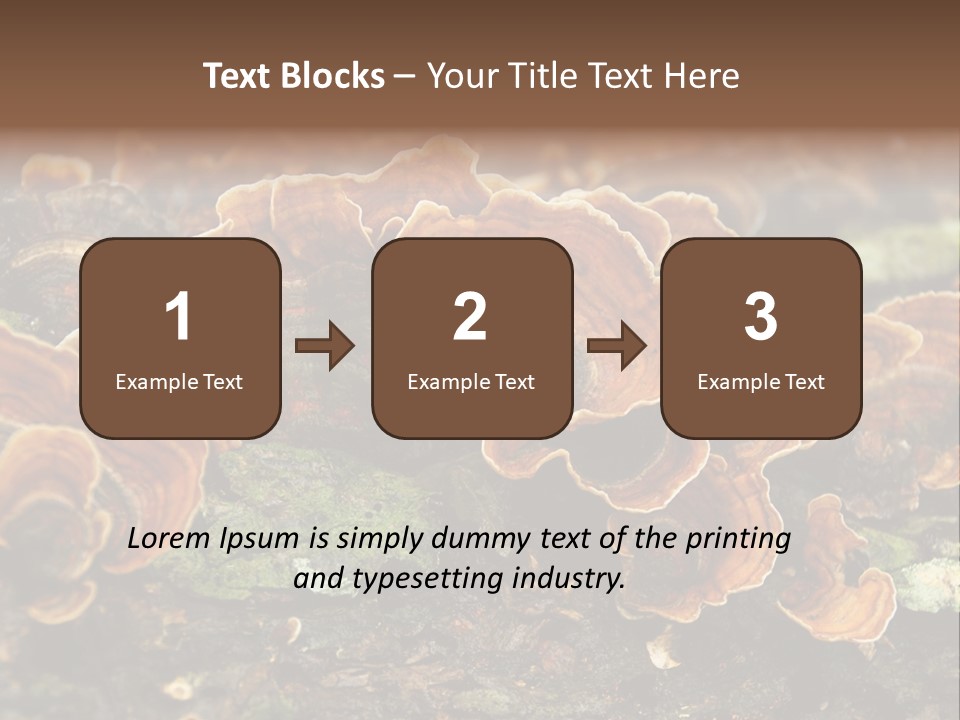 Wet Medicinal Mushroom Chinese Medicine PowerPoint Template