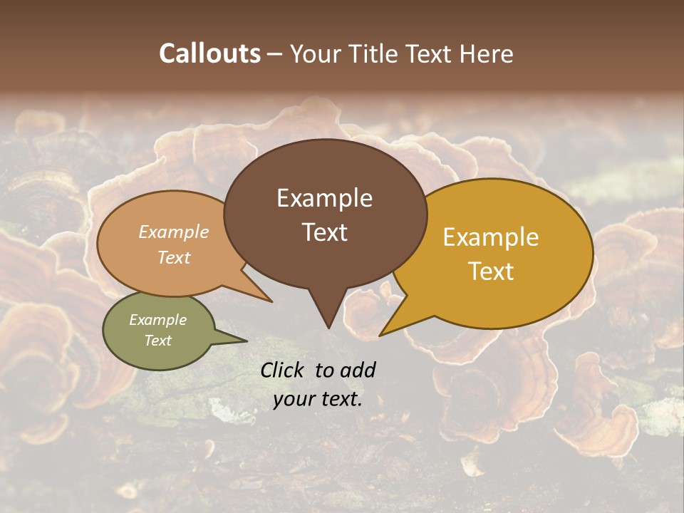 Wet Medicinal Mushroom Chinese Medicine PowerPoint Template