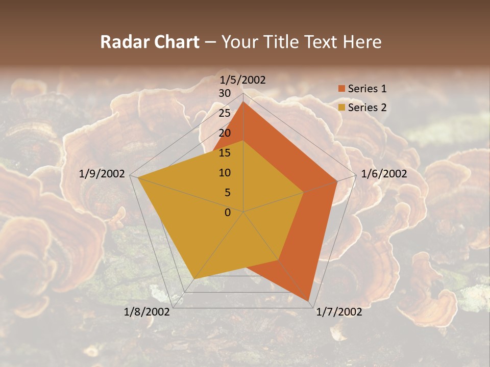 Wet Medicinal Mushroom Chinese Medicine PowerPoint Template