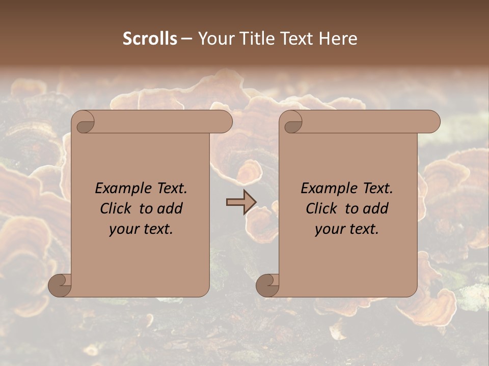 Wet Medicinal Mushroom Chinese Medicine PowerPoint Template