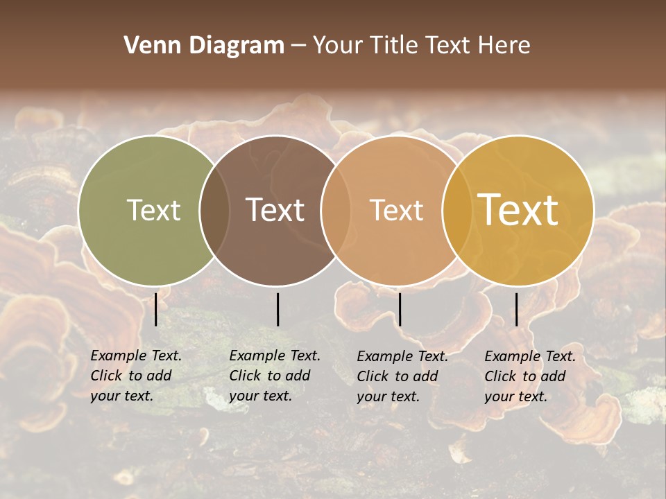 Wet Medicinal Mushroom Chinese Medicine PowerPoint Template