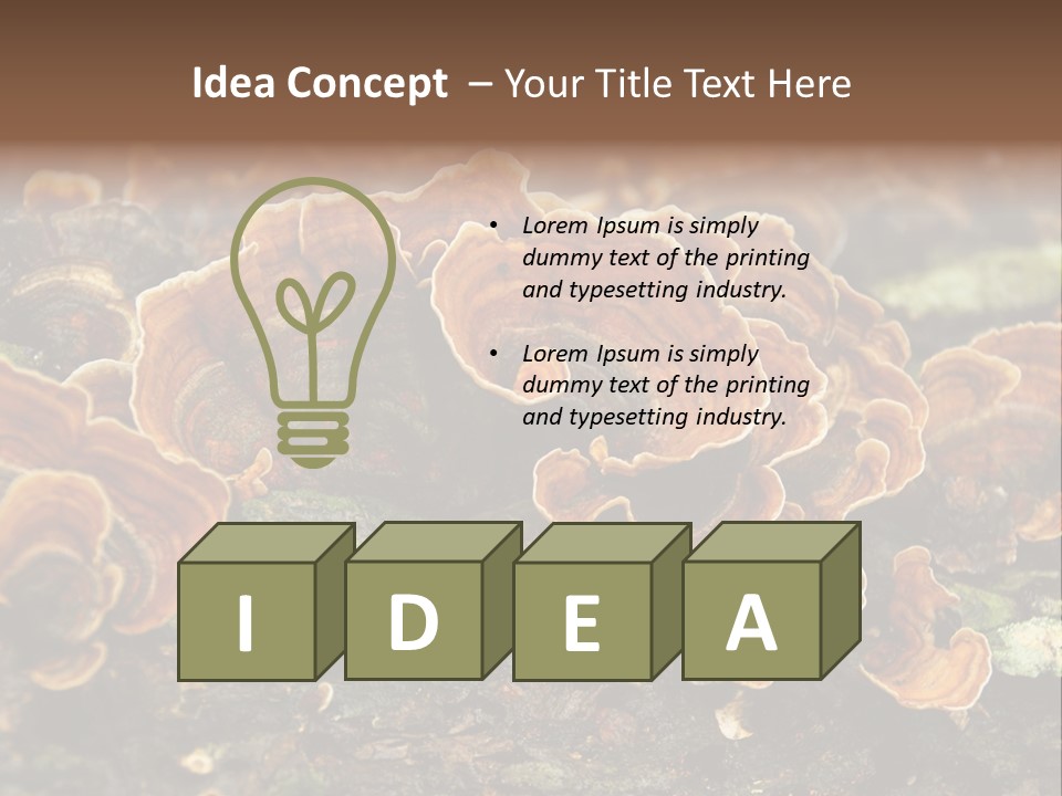 Wet Medicinal Mushroom Chinese Medicine PowerPoint Template