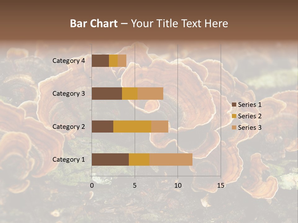 Wet Medicinal Mushroom Chinese Medicine PowerPoint Template