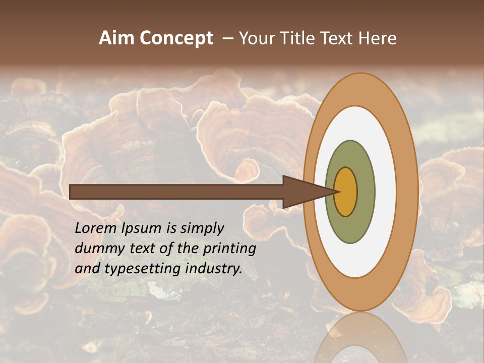 Wet Medicinal Mushroom Chinese Medicine PowerPoint Template