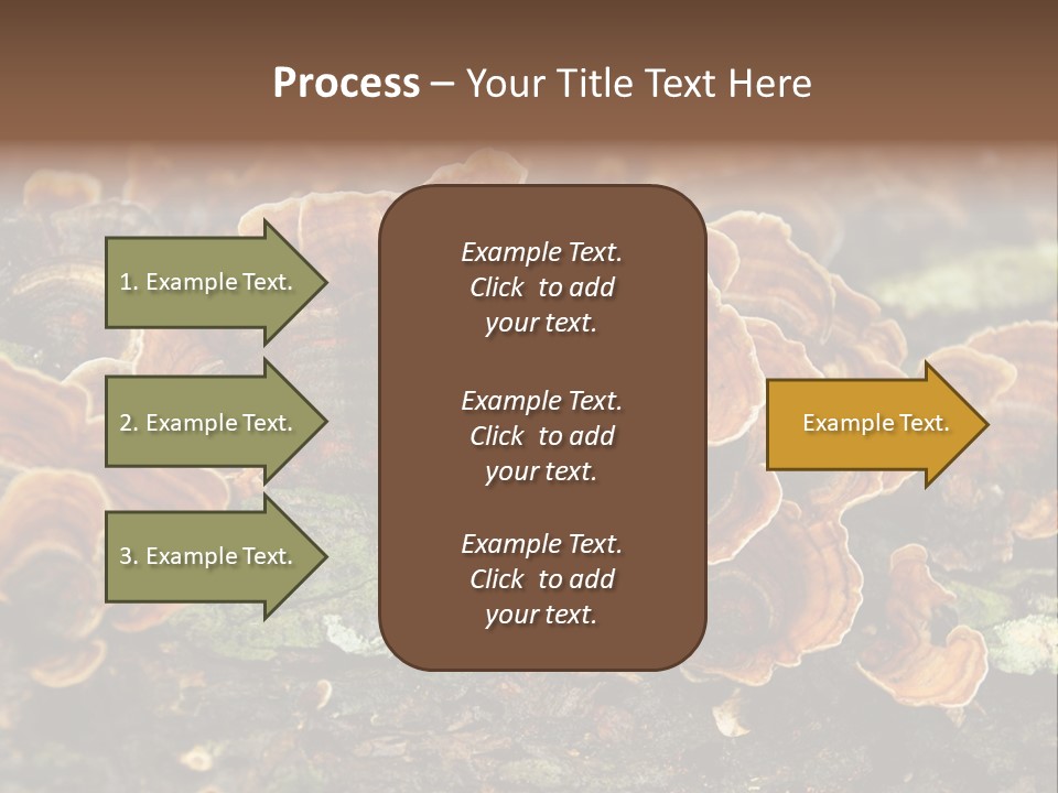 Wet Medicinal Mushroom Chinese Medicine PowerPoint Template