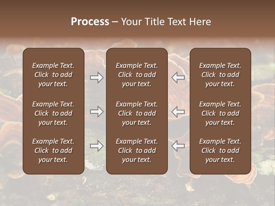 Wet Medicinal Mushroom Chinese Medicine PowerPoint Template