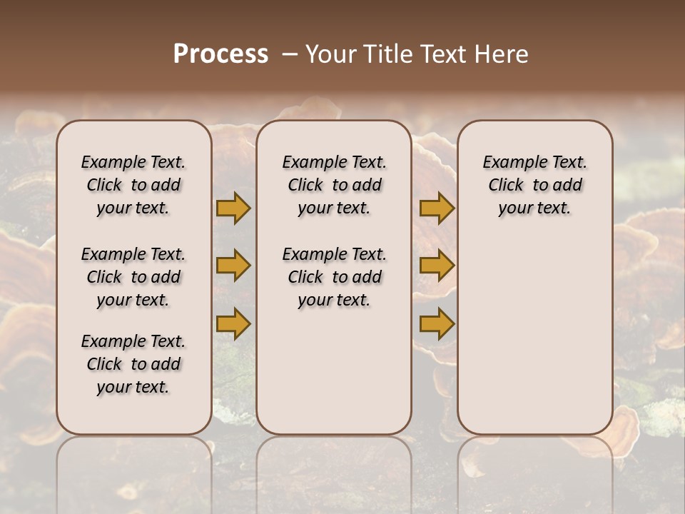 Wet Medicinal Mushroom Chinese Medicine PowerPoint Template