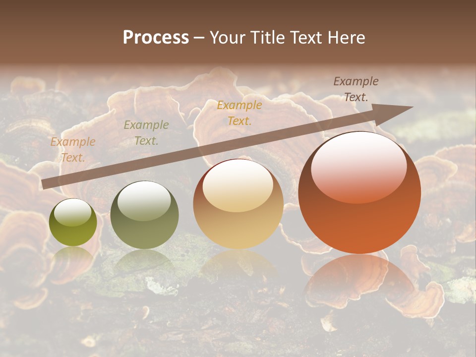 Wet Medicinal Mushroom Chinese Medicine PowerPoint Template