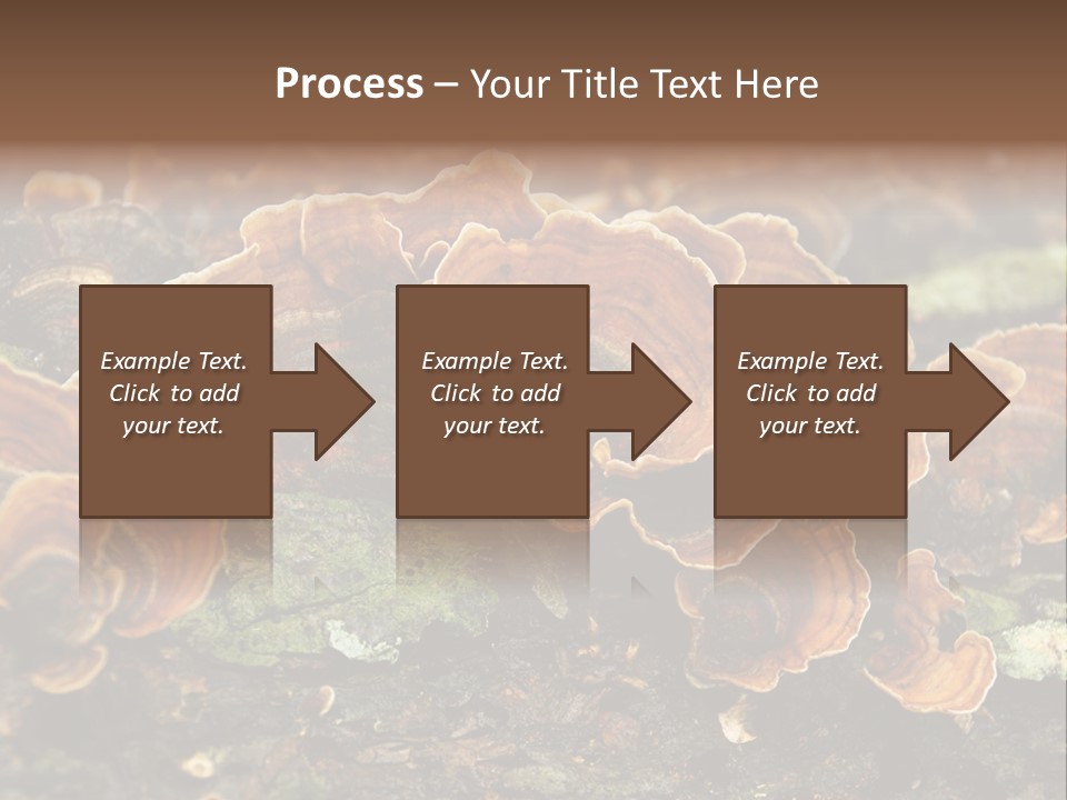 Wet Medicinal Mushroom Chinese Medicine PowerPoint Template