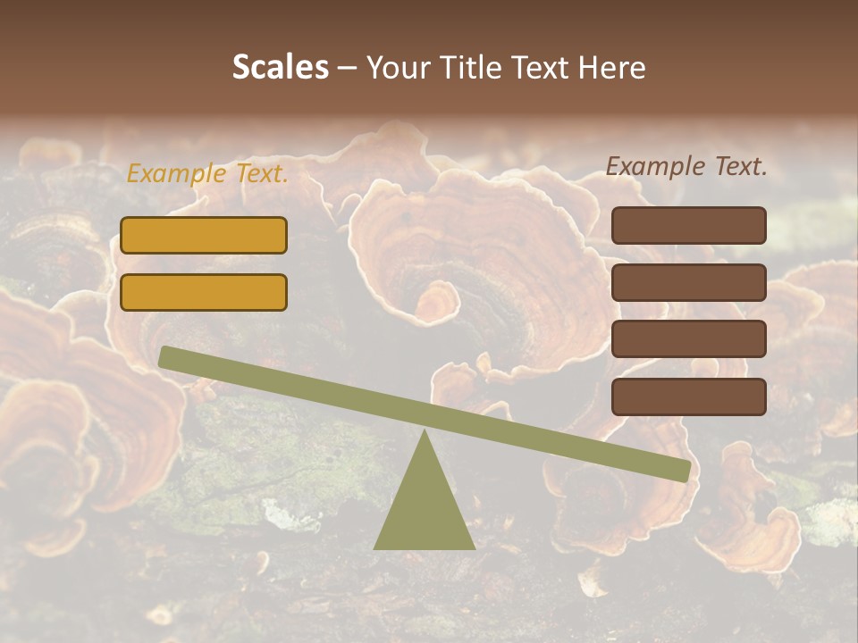 Wet Medicinal Mushroom Chinese Medicine PowerPoint Template