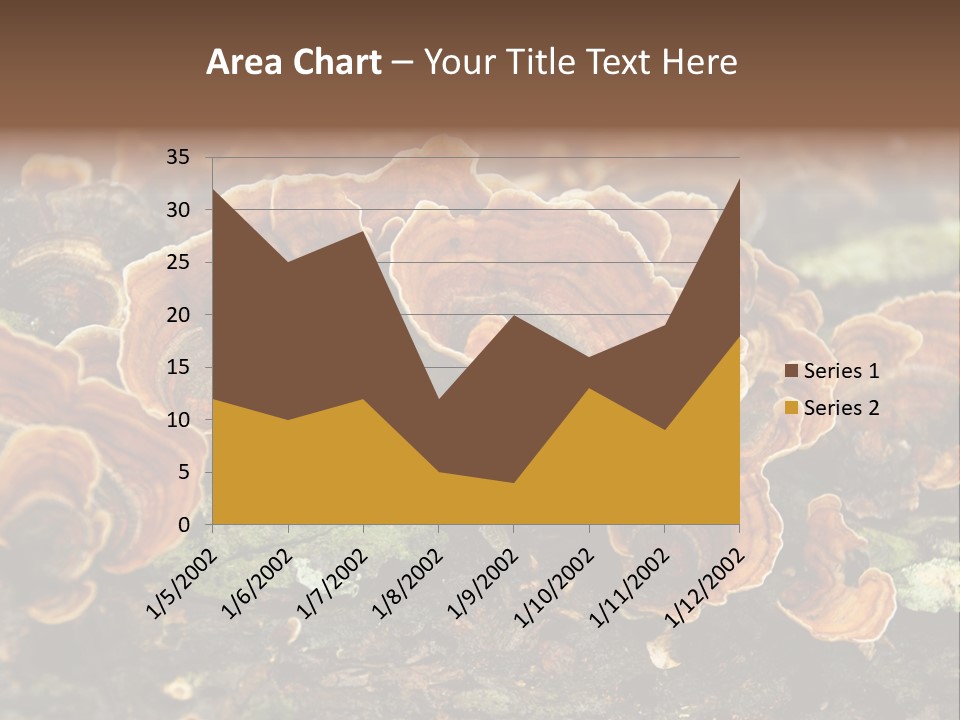 Wet Medicinal Mushroom Chinese Medicine PowerPoint Template