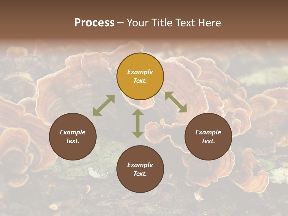 Wet Medicinal Mushroom Chinese Medicine PowerPoint Template