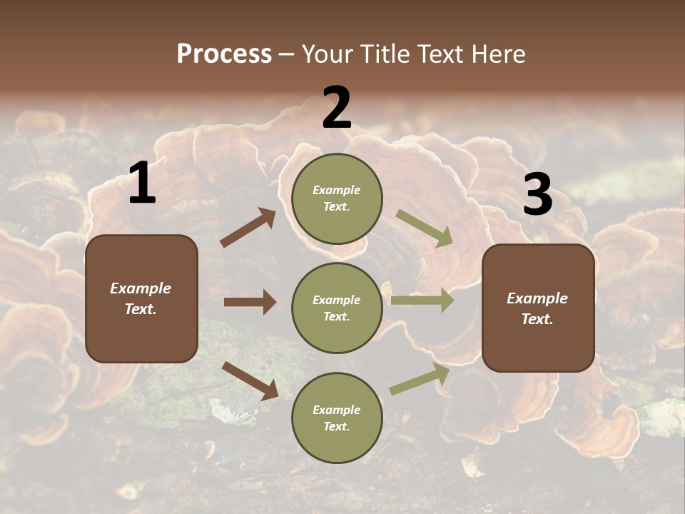 Wet Medicinal Mushroom Chinese Medicine PowerPoint Template
