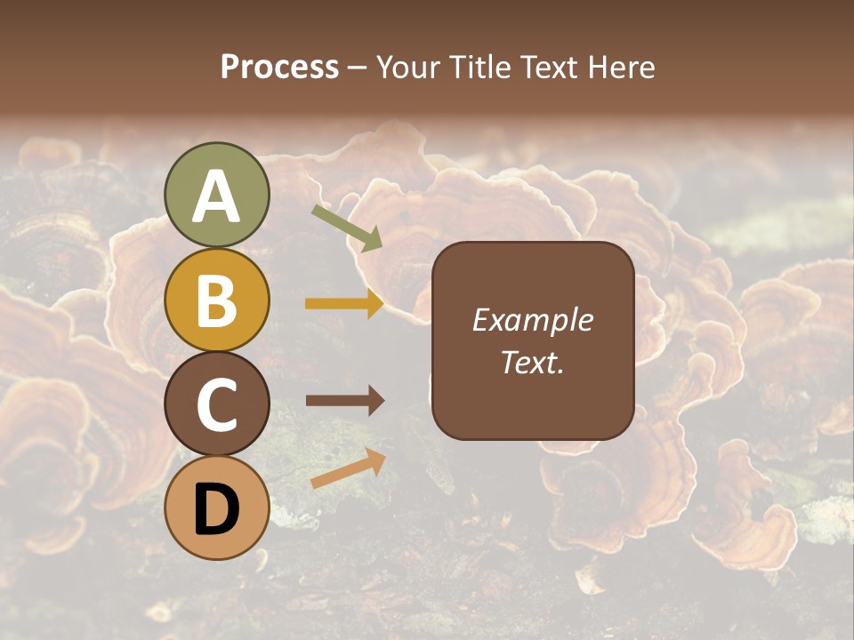 Wet Medicinal Mushroom Chinese Medicine PowerPoint Template