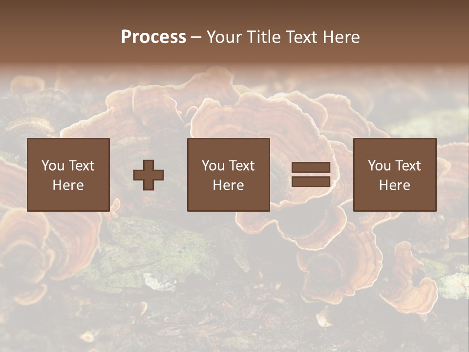 Wet Medicinal Mushroom Chinese Medicine PowerPoint Template