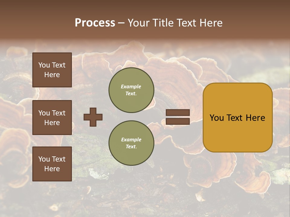 Wet Medicinal Mushroom Chinese Medicine PowerPoint Template