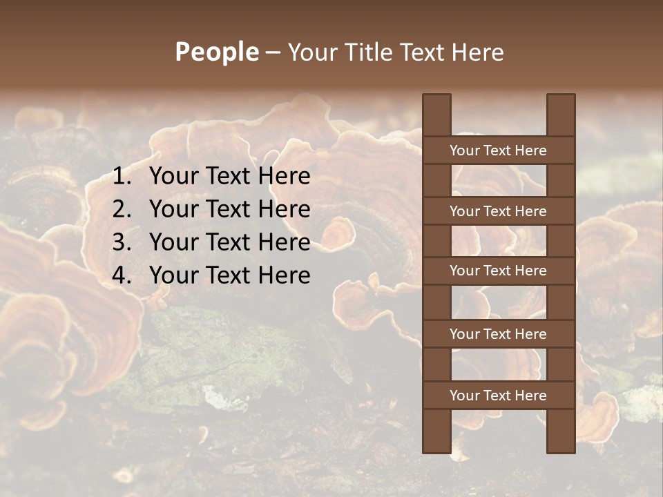 Wet Medicinal Mushroom Chinese Medicine PowerPoint Template